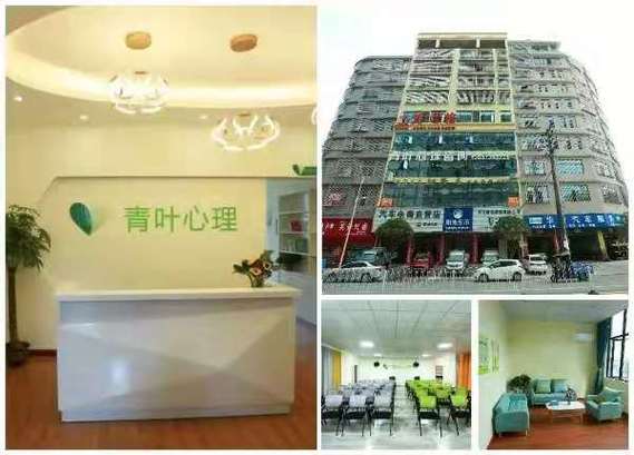 羅葉青 以專業為筆，繪就健康與人文服務新畫卷
